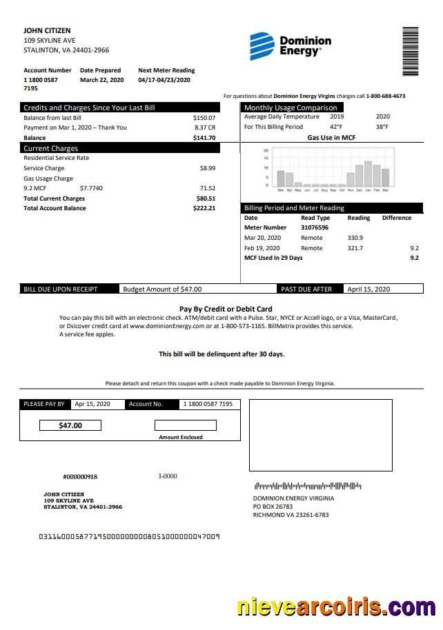 USA Dominion Energy utility bill